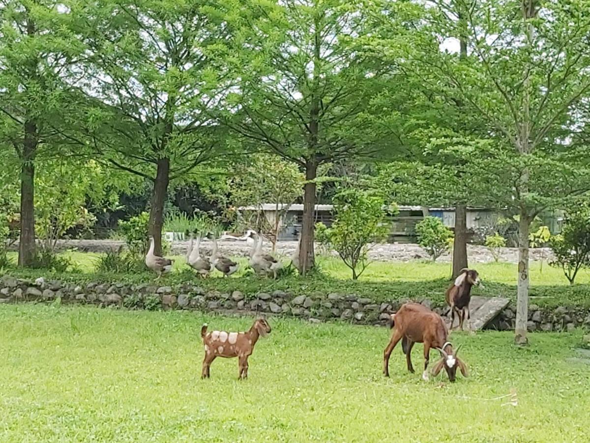 Meihua Lake Leisure Farm Villa Dongshan  Bagian luar foto